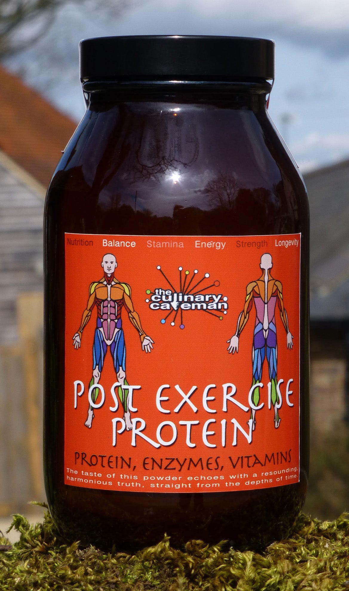 Post Exercise Protein