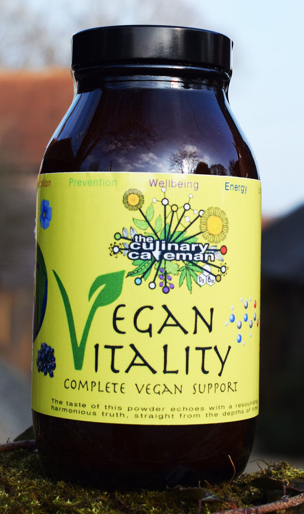 Vegan Vitality