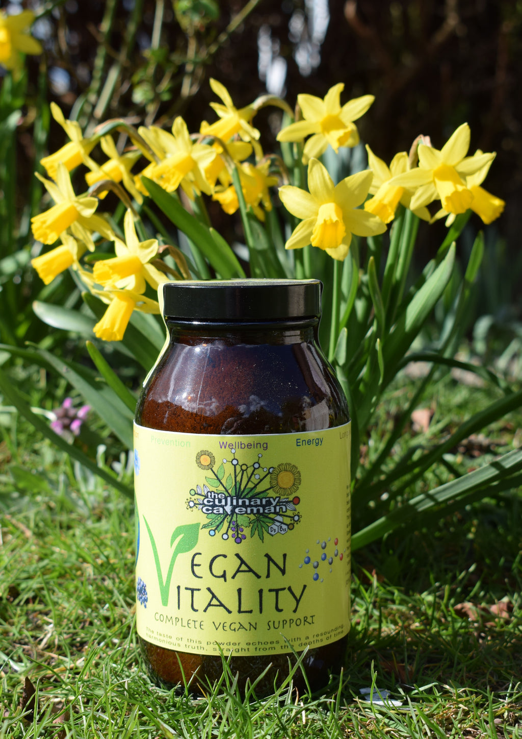 Vegan Vitality